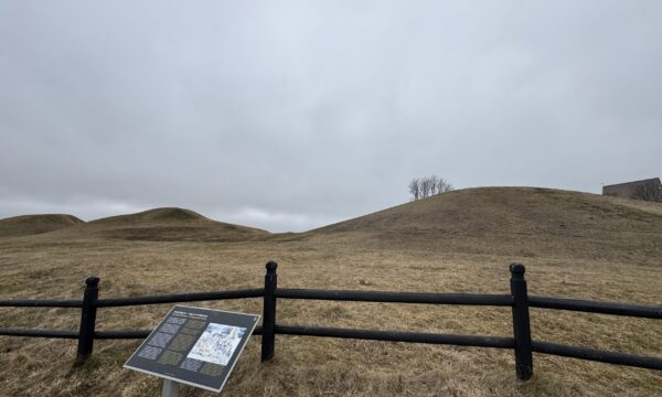 IMG_2577 2