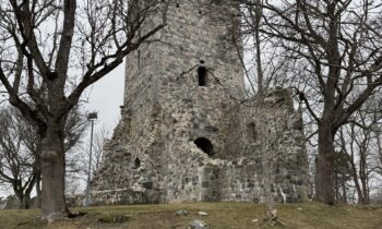 IMG_2595 2