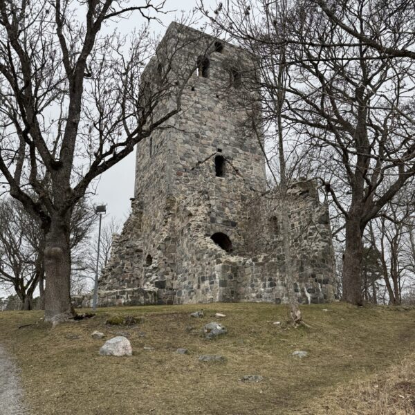 IMG_2595 2