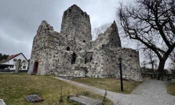 IMG_2614 2